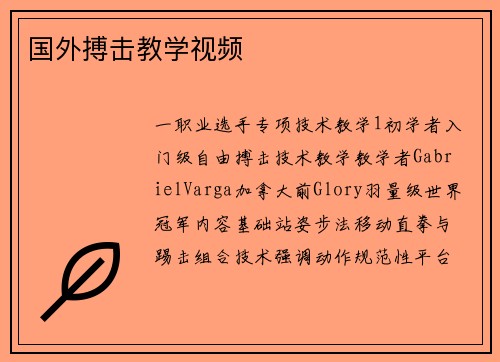 国外搏击教学视频